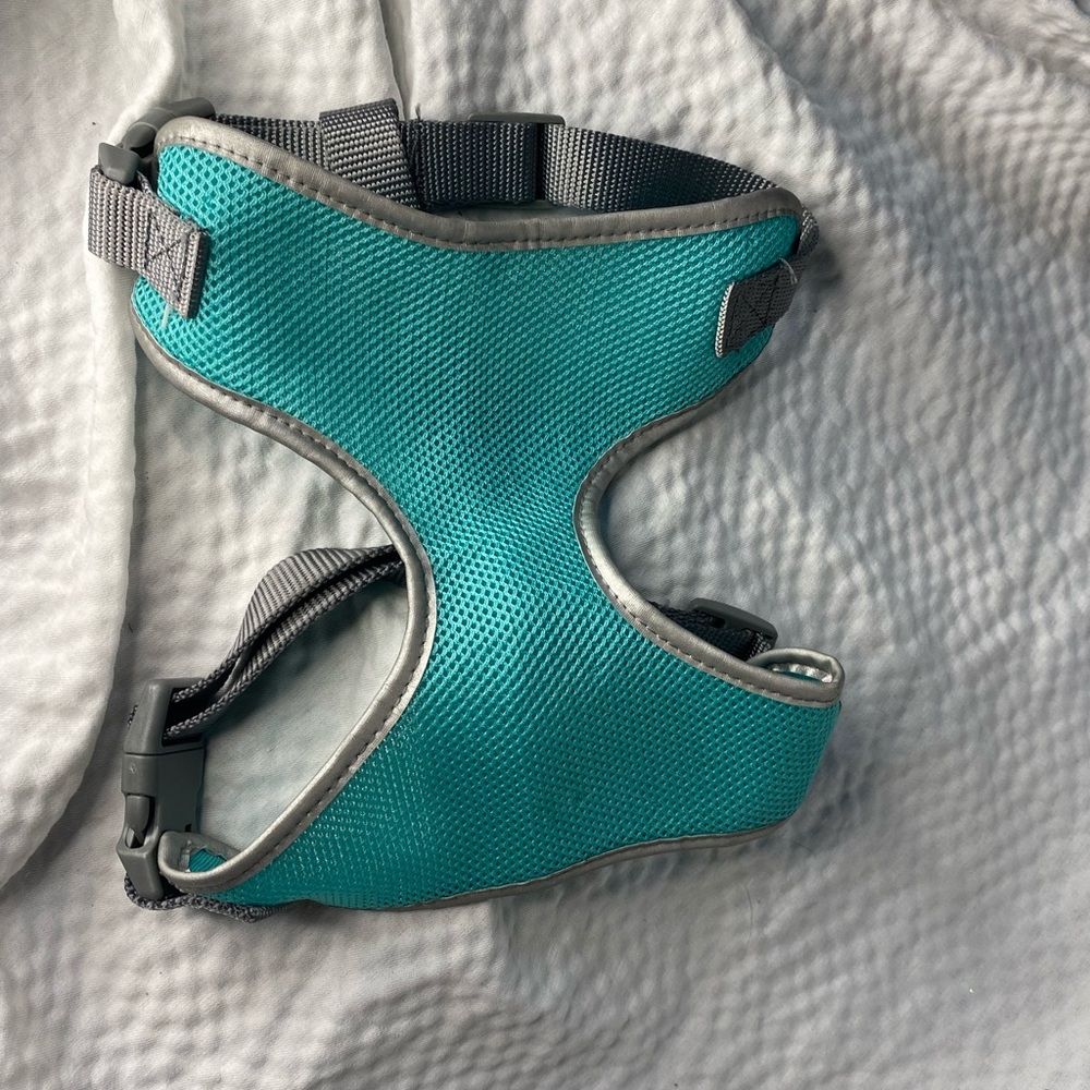 Teal and silver harness